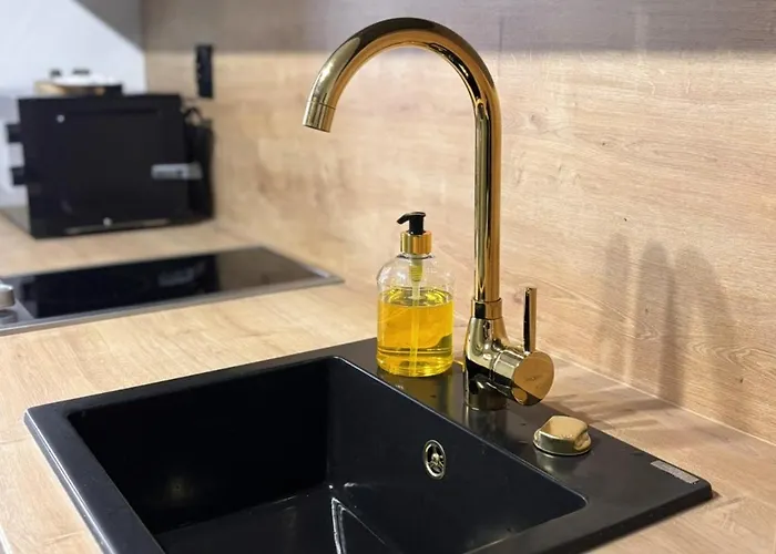 Vip Bast 143 Location - Lux Z Wanna Lub Bez Wanny Do Wyboru Off Piotrkowska Stajnia Jednorozca Hopalupa Atlas Arena 公寓式酒店 3*