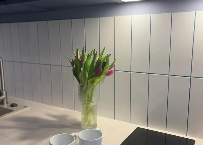 Vip Bast 143 Location - Lux Z Wanna Lub Bez Wanny Do Wyboru Off Piotrkowska Stajnia Jednorozca Hopalupa Atlas Arena