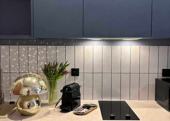 公寓式酒店 Vip Bast 143 Location - Lux Z Wanna Lub Bez Wanny Do Wyboru Off Piotrkowska Stajnia Jednorozca Hopalupa Atlas Arena 罗兹