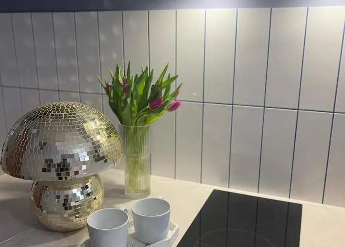 Vip Bast 143 Location - Lux Z Wanna Lub Bez Wanny Do Wyboru Off Piotrkowska Stajnia Jednorozca Hopalupa Atlas Arena 3*