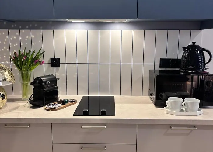 Vip Bast 143 Location - Lux Z Wanna Lub Bez Wanny Do Wyboru Off Piotrkowska Stajnia Jednorozca Hopalupa Atlas Arena 3*