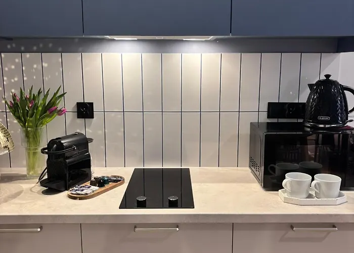 公寓式酒店 Vip Bast 143 Location - Lux Z Wanna Lub Bez Wanny Do Wyboru Off Piotrkowska Stajnia Jednorozca Hopalupa Atlas Arena 3*