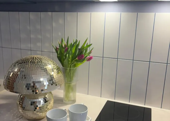 公寓式酒店 Vip Bast 143 Location - Lux Z Wanna Lub Bez Wanny Do Wyboru Off Piotrkowska Stajnia Jednorozca Hopalupa Atlas Arena