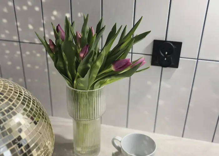 Vip Bast 143 Location - Lux Z Wanna Lub Bez Wanny Do Wyboru Off Piotrkowska Stajnia Jednorozca Hopalupa Atlas Arena 罗兹