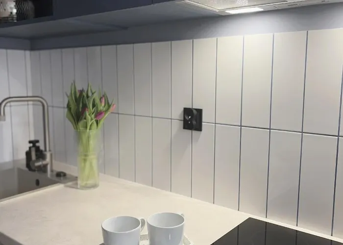 公寓式酒店 Vip Bast 143 Location - Lux Z Wanna Lub Bez Wanny Do Wyboru Off Piotrkowska Stajnia Jednorozca Hopalupa Atlas Arena 罗兹