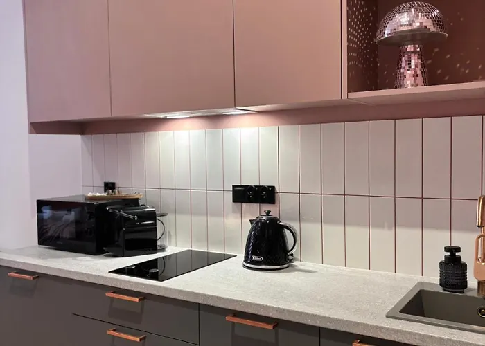 Vip Bast 143 Location - Lux Z Wanna Lub Bez Wanny Do Wyboru Off Piotrkowska Stajnia Jednorozca Hopalupa Atlas Arena 公寓式酒店 3*